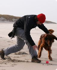 Promenades de chien