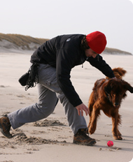 Promenades de chien