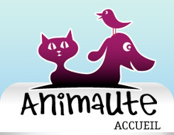 Animaute : Garde animaux - garde chien chat