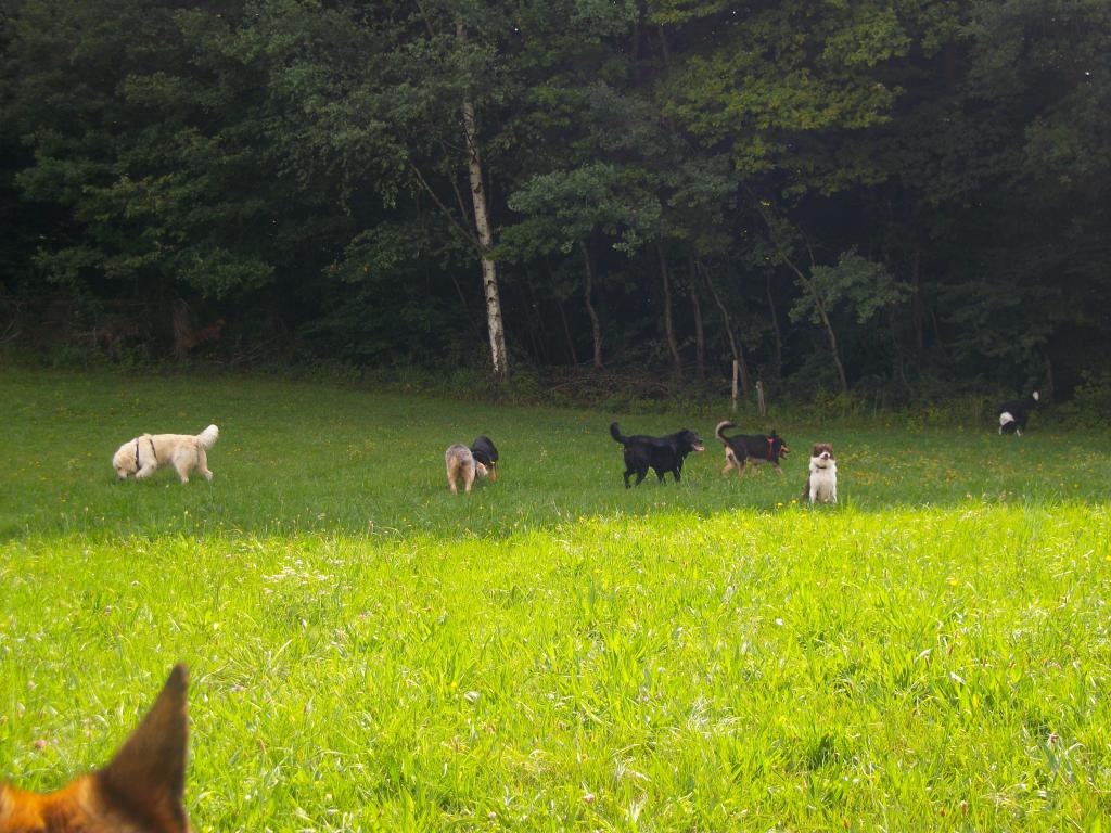 Rencontre 74