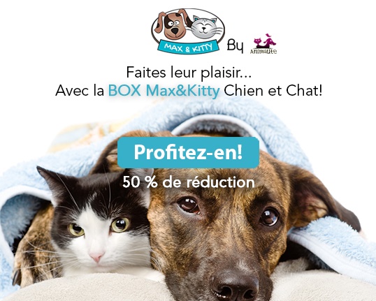 animhot fr thionville animhot fr thionville