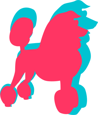 Caniche 