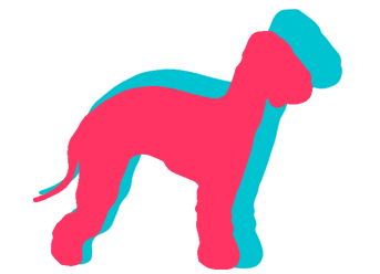 Bedlington Terrier