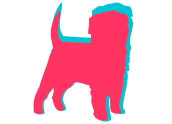 Affenpinscher