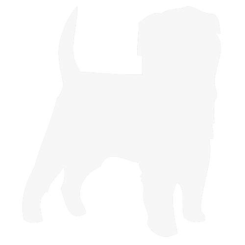 Affenpinscher silhouette