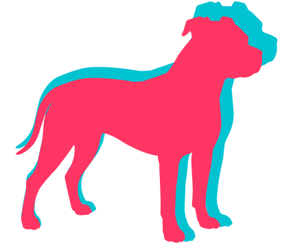 Pitbull