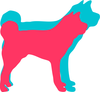 Akita Inu