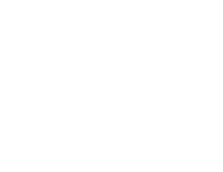 Berger Blanc Suisse silhouette