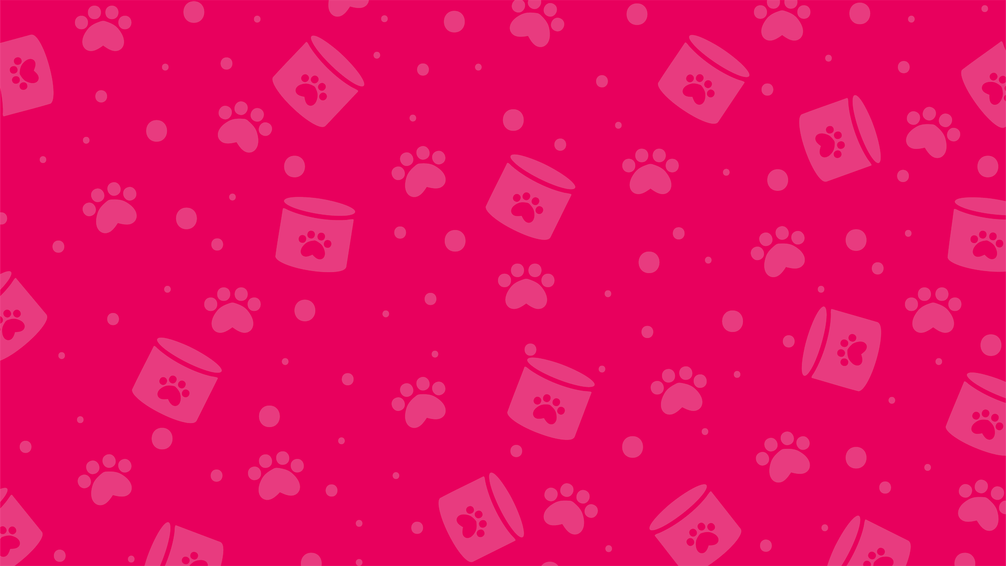 Image article L’ail, sans danger ou toxique chez le chat ?
