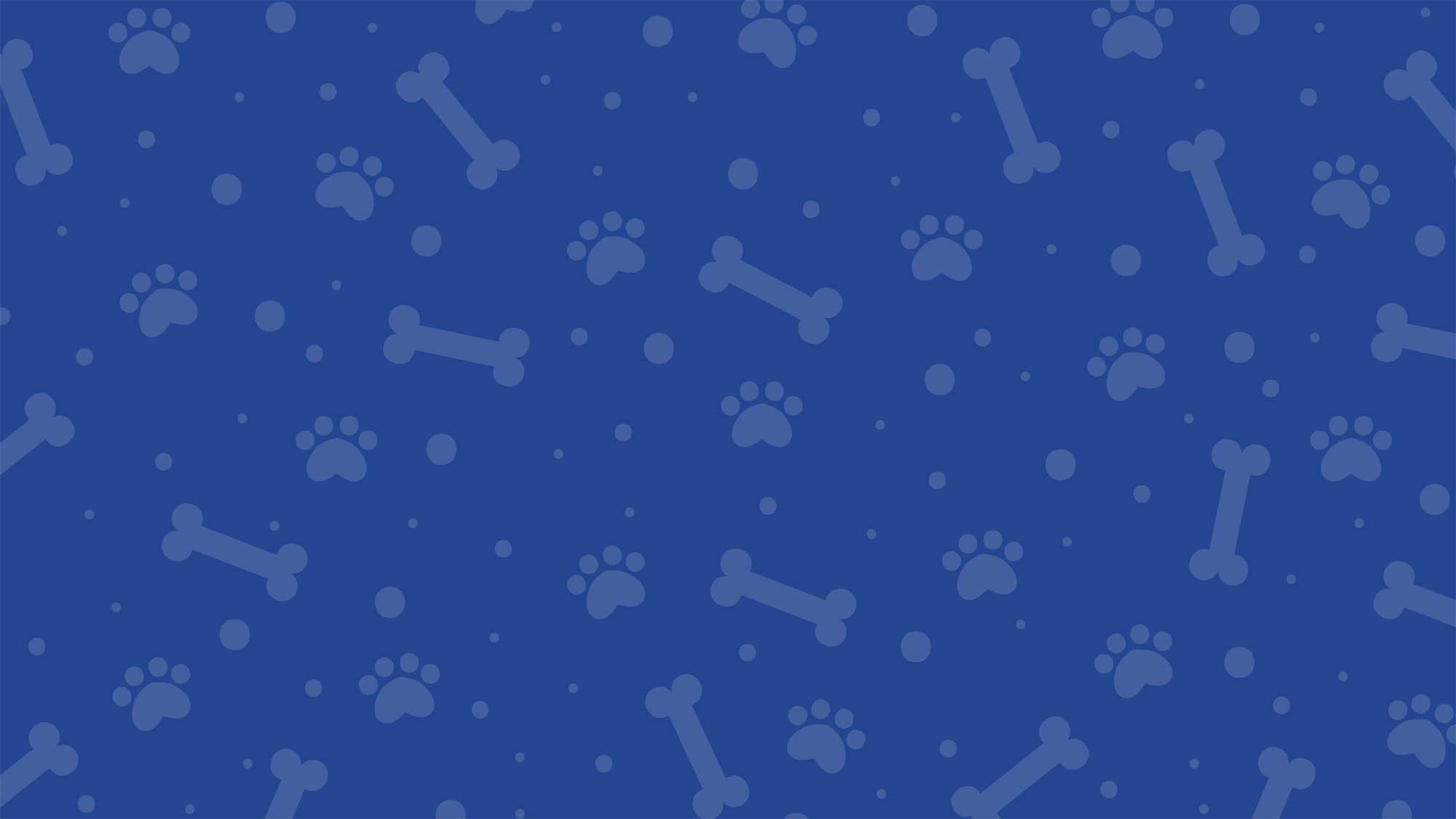 Image article La carotte est-il toxique pour le chien ?