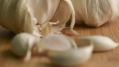 Image article L'ail est-il toxique ou bénéfique chez le chien ? 