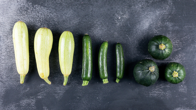 Image article Peut-on donner de la courgette à un chien ?