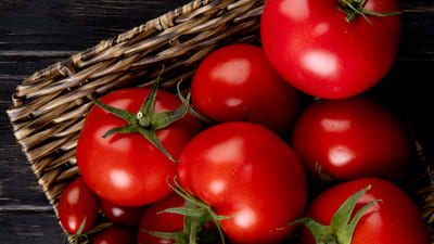Image article La tomate est-elle vraiment toxique pour le chien ?