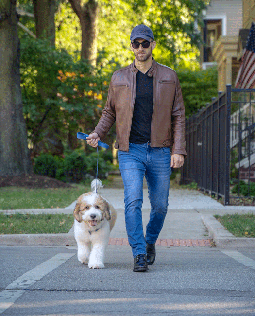 homme promene un chien