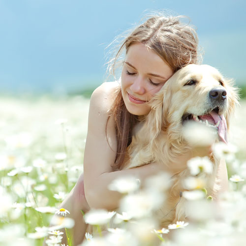 Image 1 Gardez des animaux selon vos envies