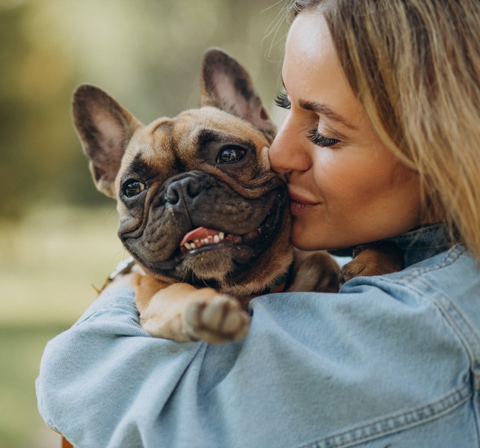 Image 1 Animaute, la solution de garde de chien qu’il vous faut 