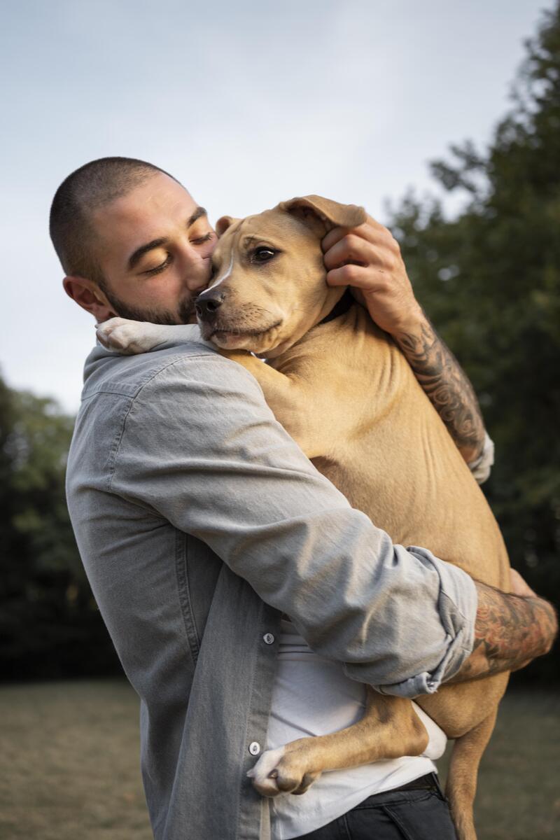 Image 1 Faites garder votre chien au sein d’une des pensions disponibles aux Epesses