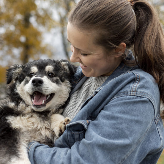 Image 1 Pourquoi faire garder son chien en famille ?