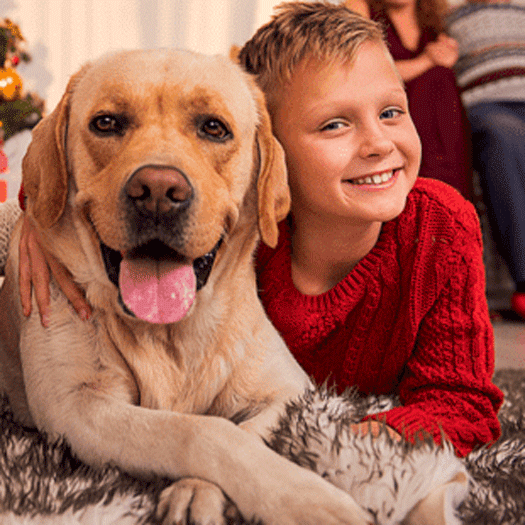 Image 1 Pourquoi choisir de faire garder mon chien en famille ?