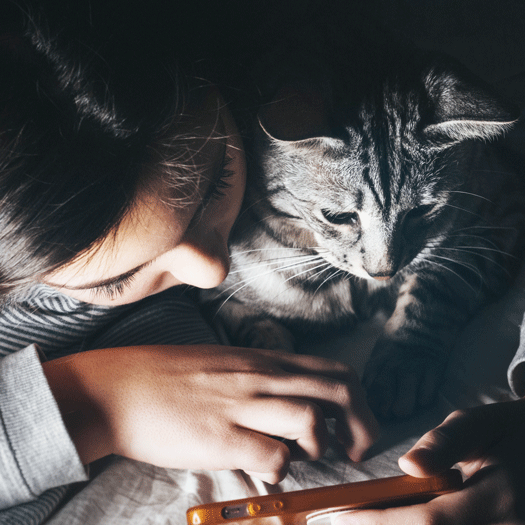 Image 1 Les alternatives pour faire garder son chat pendant les vacances
