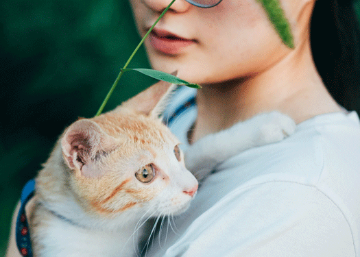 femme avec un chat