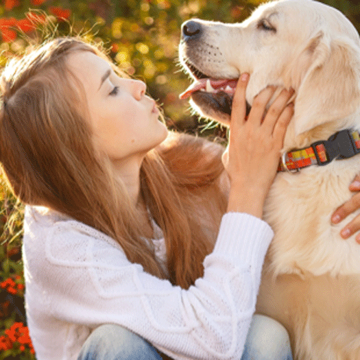 Image 1 Famille d’accueil pour chien, en quoi ça consiste ?