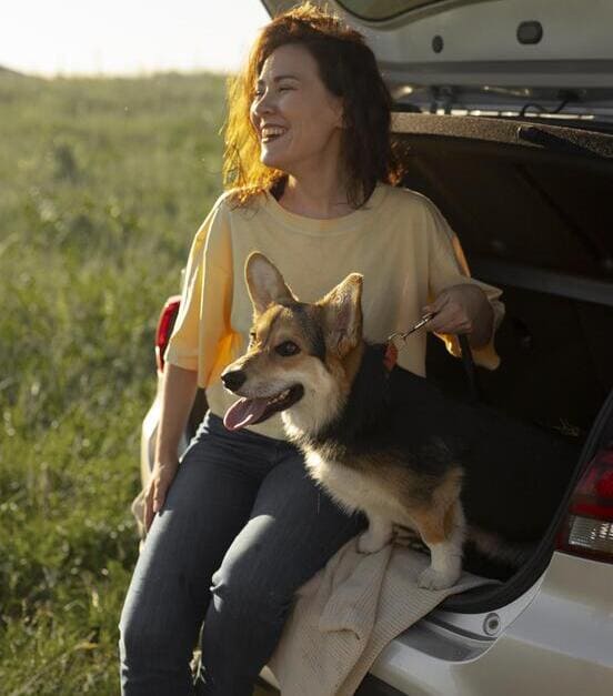 Image 1 14 astuces pour calmer un chien stressé en voiture