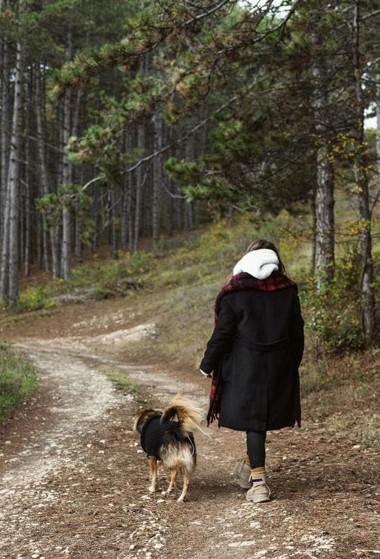 Image 1 Après le déménagement : 4 astuces pour aider votre chien à s’adapter