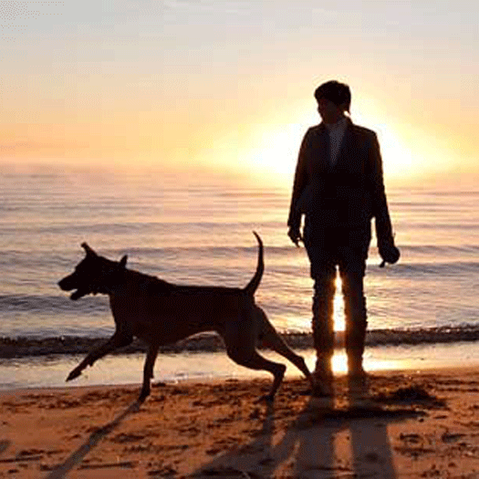 homme promene son chien sur la plage