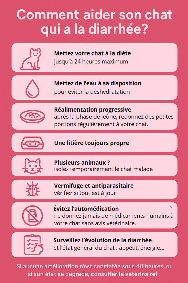 Image 1 Mon chat à la diarrhée, quand s’inquiéter ?