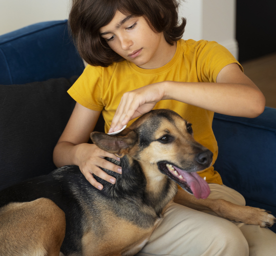 Image 1 Quels sont les symptômes d’un chien qui a une allergie alimentaire ?