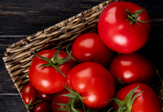 Image 1 Donner de la tomate mûre à son chien : quel intérêt et quels bienfaits ?