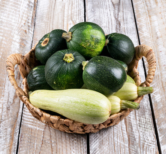 Image 1 Donner de la courgette à son chat : toxique ou pas ?