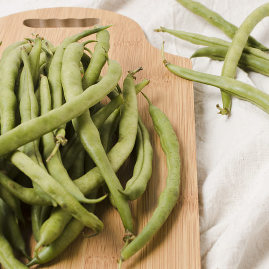 Image 1 Donner des haricots verts à son chien : toxique ou pas ?