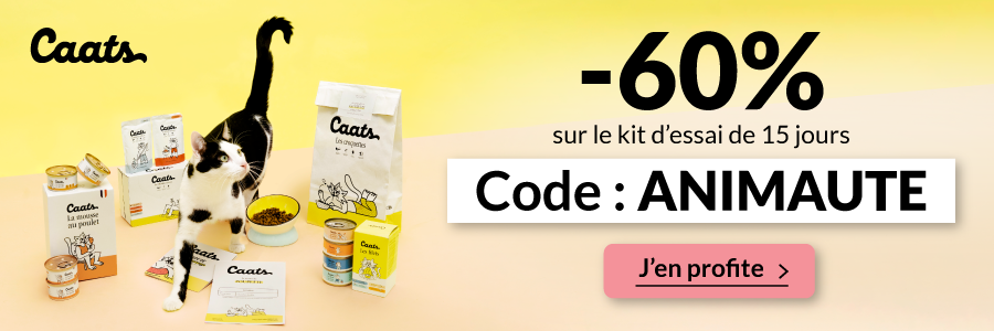 Partenaire Caats