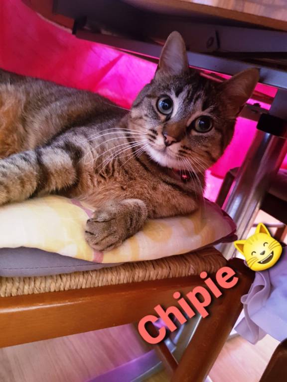 Faites Garder Votre Animal Par Christine