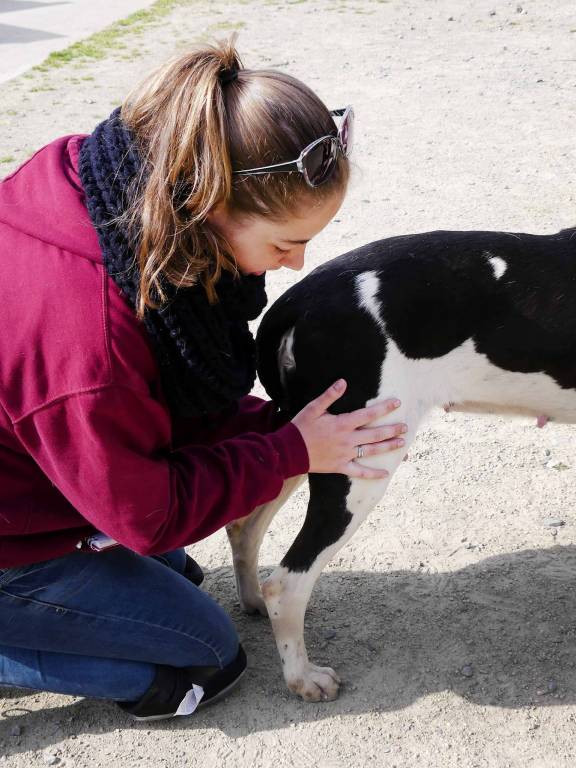 Lettre De Motivation Ecole Osteopathie Animale