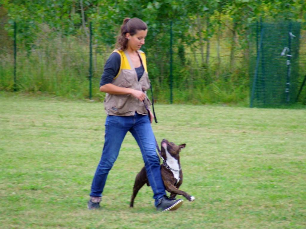 Bac Pro élevage Canin Et Félin Pays De La Loire Faites garder votre animal par Amandine