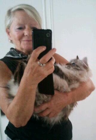 Garde Animaux En Var Garde Chien Et Chat En Famille Ou A Domicile Visites Et Promenades